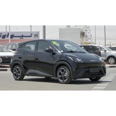 BYD Seagull Fly Edition 2024